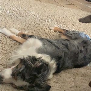 Meet your Posher, Tina